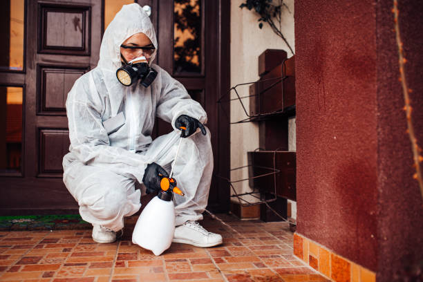 Reliable Cockroach Control contractor in Aberdeen Proving Ground, MD by Nex Pest Control