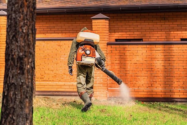 Trusted Rodent Control service in Aberdeen Proving Ground, MD - Nex Pest Control